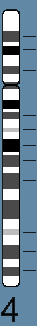 chr4